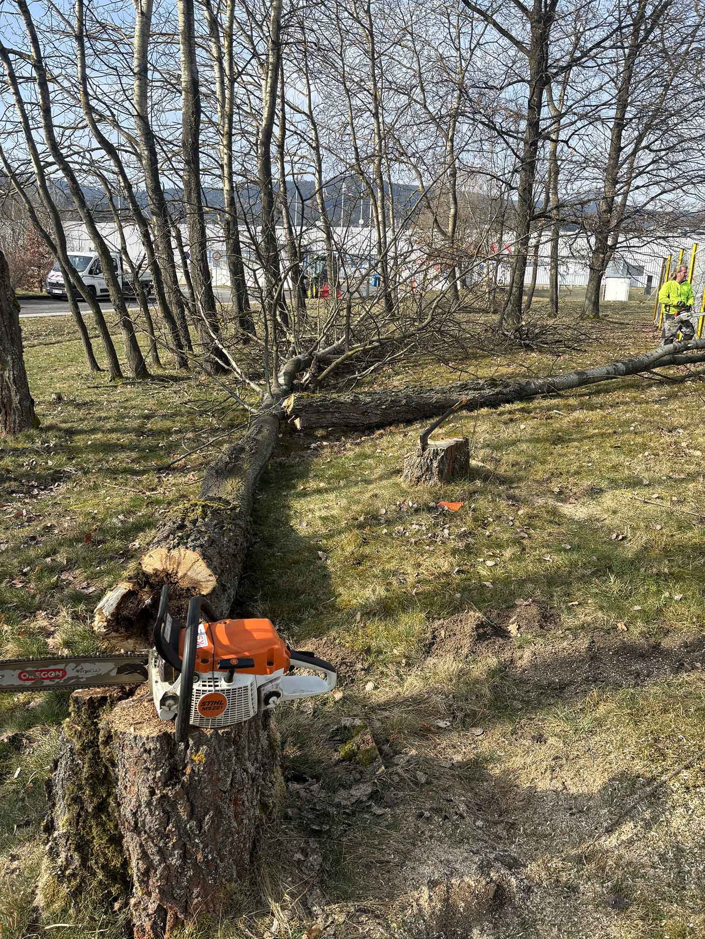 Kácení stromů a náletů Komunální služby LB s.r.o. Liberec