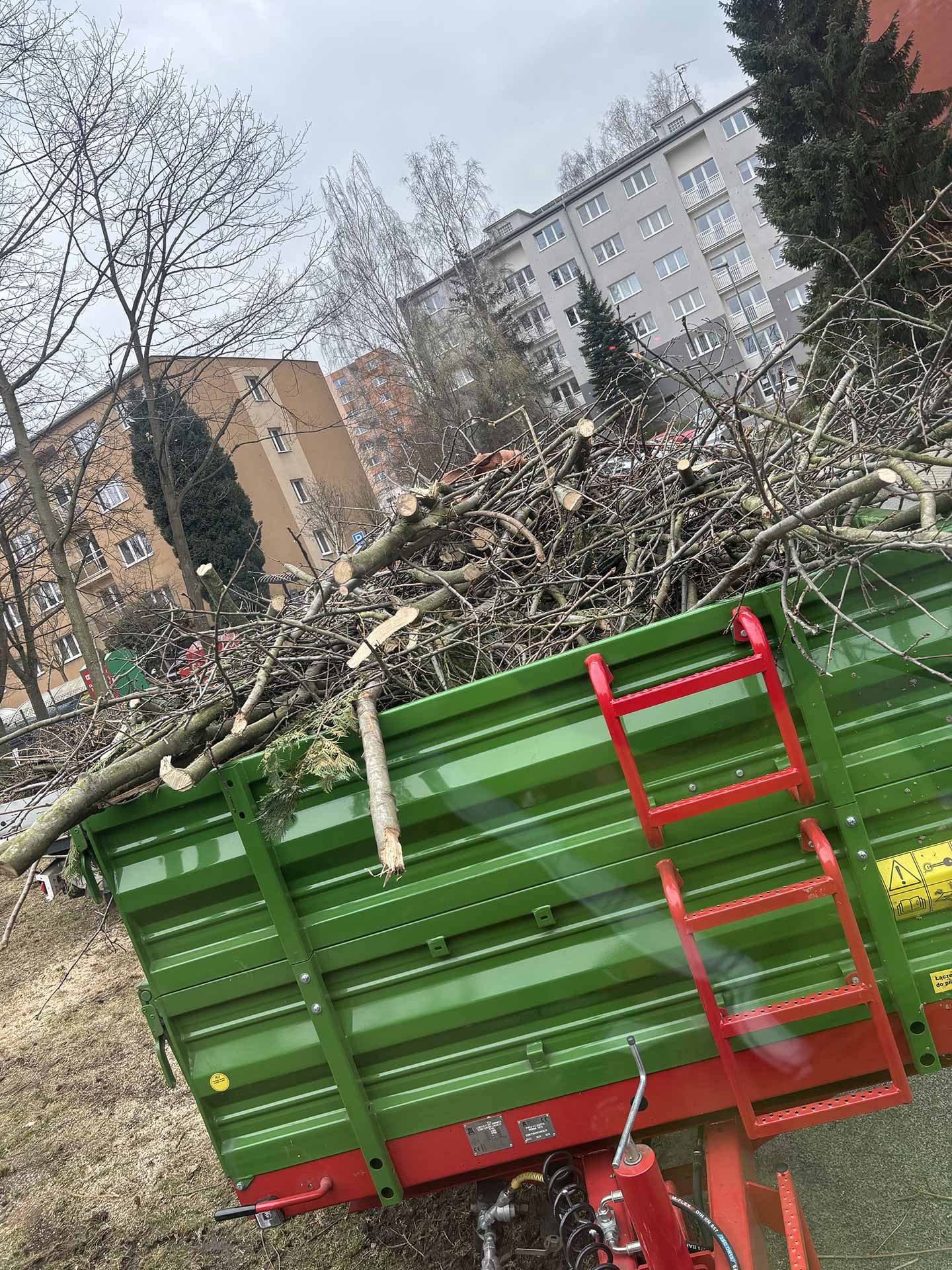 Kácení stromů a náletů Komunální služby LB s.r.o. Liberec